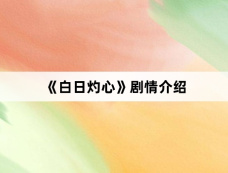 《白日灼心》剧情介绍