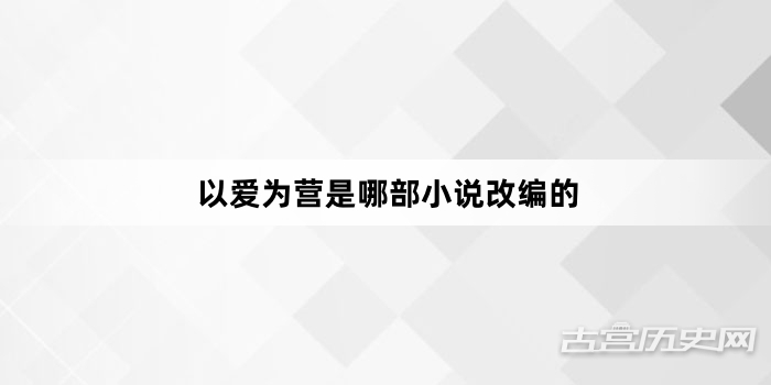 以爱为营是哪部小说改编的