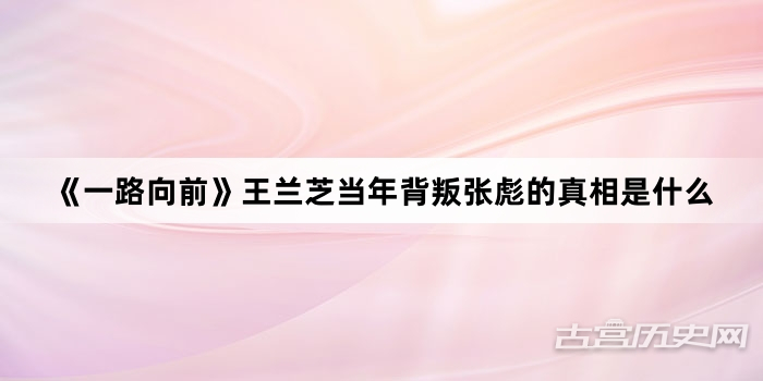 《一路向前》王兰芝当年背叛张彪的真相是什么