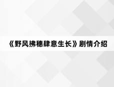 《野风拂穗肆意生长》剧情介绍