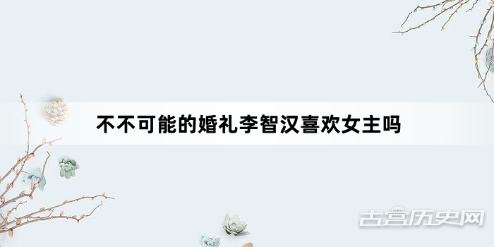 不不可能的婚礼李智汉喜欢女主吗
