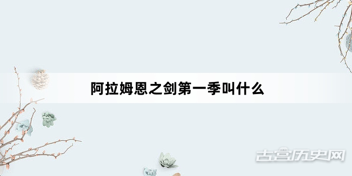 阿拉姆恩之剑第一季叫什么