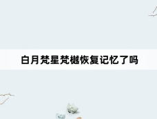 白月梵星梵樾恢复记忆了吗