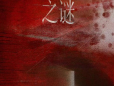 电视剧《棕眼之谜》集数介绍