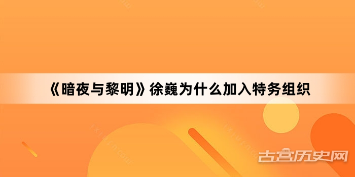 《暗夜与黎明》徐巍为什么加入特务组织
