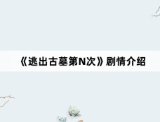 《逃出古墓第N次》剧情介绍