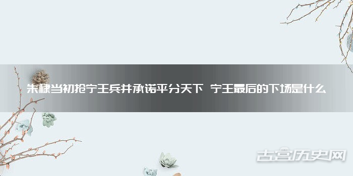 朱棣当初抢宁王兵并承诺平分天下 宁王最后的下场是什么