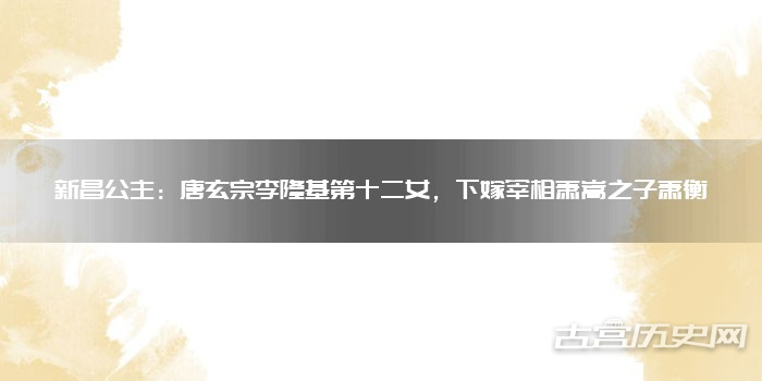 新昌公主：唐玄宗李隆基第十二女，下嫁宰相萧嵩之子萧衡