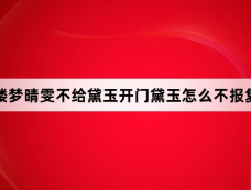 红楼梦晴雯不给黛玉开门黛玉怎么不报复她