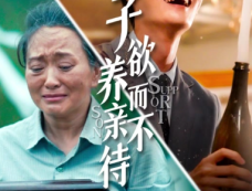 短剧《子欲养而亲不待》剧情介绍