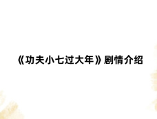 《功夫小七过大年》剧情介绍