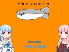 “萨卡班甲鱼”网络梗词解释