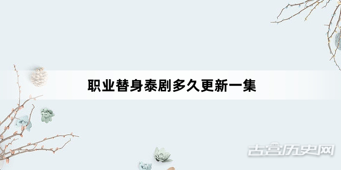 职业替身泰剧多久更新一集