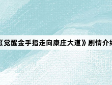 《觉醒金手指走向康庄大道》剧情介绍