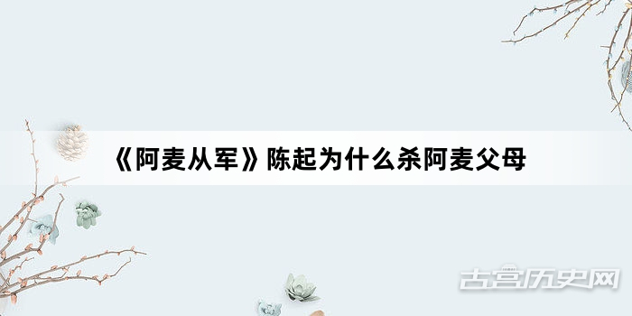 《阿麦从军》陈起为什么杀阿麦父母