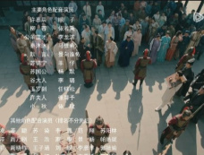 《柳叶摘星辰》配音表