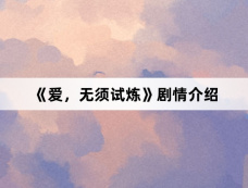 《爱,无须试炼》剧情介绍
