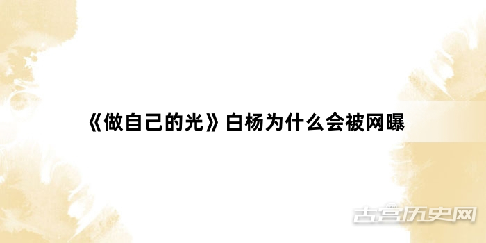 《做自己的光》白杨为什么会被网曝
