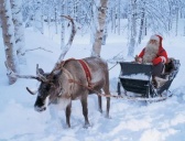芬兰的礼仪礼节