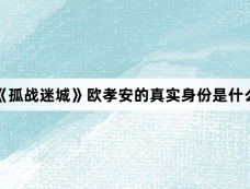 《孤战迷城》欧孝安的真实身份是什么