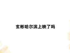 玄彬哈尔滨上映了吗