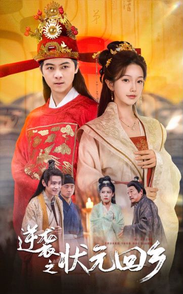 《逆袭之状元回乡》剧情介绍