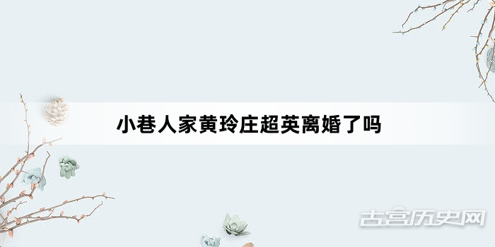 小巷人家黄玲庄超英离婚了吗