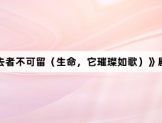 《弃我去者不可留(生命,它璀璨如歌)》剧情介绍