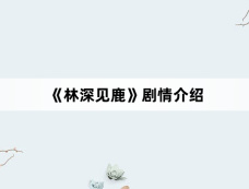 《林深见鹿》剧情介绍