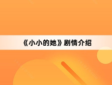 《小小的她》剧情介绍