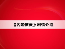 《闪婚蜜爱》剧情介绍