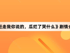 《赶走我你说的,瓜烂了哭什么》剧情介绍