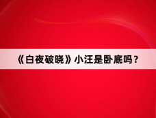 《白夜破晓》小汪是卧底吗?