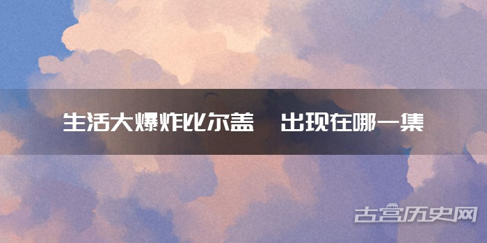 生活大爆炸比尔盖茨出现在哪一集