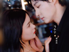 短剧《南风过境你我皆客》剧情介绍