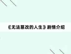 《无法篡改的人生》剧情介绍