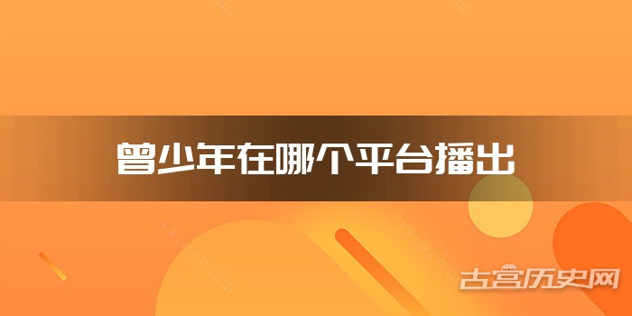 曾少年在哪个平台播出