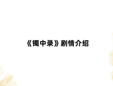 《镯中录》剧情介绍