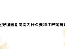 《好团圆》向南为什么要和江宏斌离婚