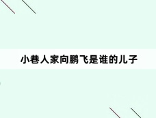 小巷人家向鹏飞是谁的儿子