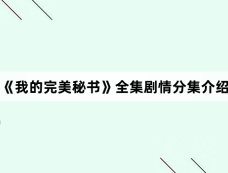 《我的完美秘书》全集剧情分集介绍
