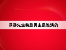 浮游先生韩剧男主是谁演的