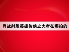 肖战射雕英雄传侠之大者在哪拍的