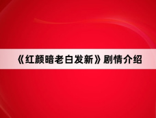 《红颜暗老白发新》剧情介绍