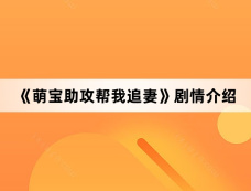 《萌宝助攻帮我追妻》剧情介绍