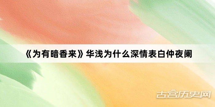《为有暗香来》华浅为什么深情表白仲夜阑