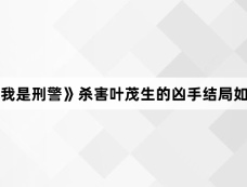 《我是刑警》杀害叶茂生的凶手结局如何