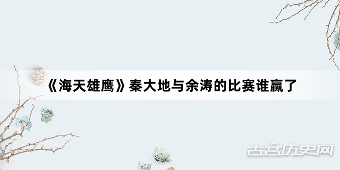 《海天雄鹰》秦大地与余涛的比赛谁赢了