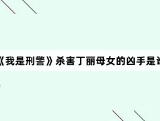 《我是刑警》杀害丁丽母女的凶手是谁