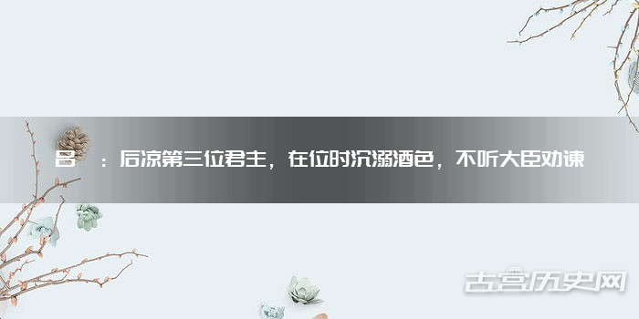 吕纂：后凉第三位君主，在位时沉溺酒色，不听大臣劝谏
